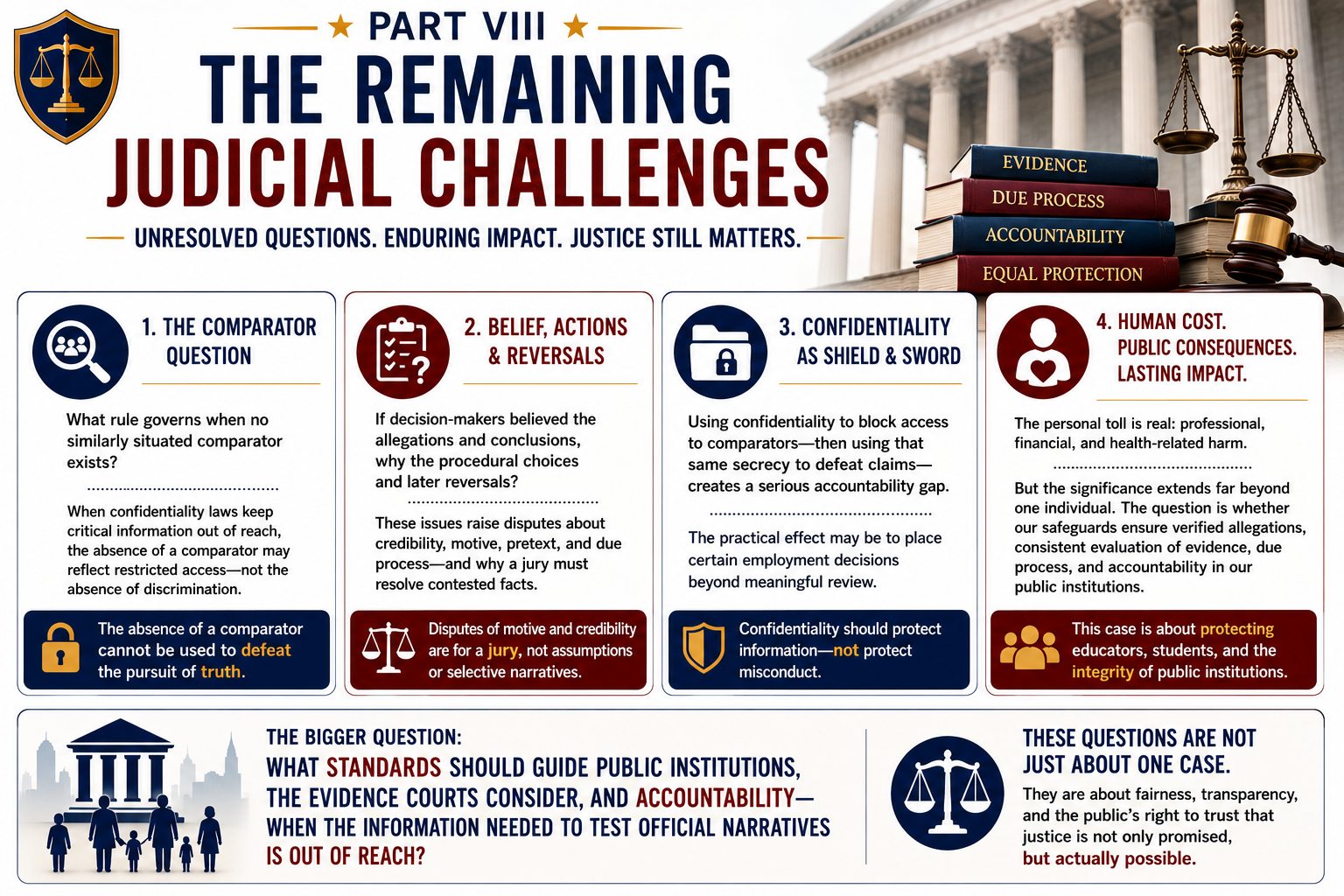 Part VIII – The Remaining Judicial Challenges — banner illustration